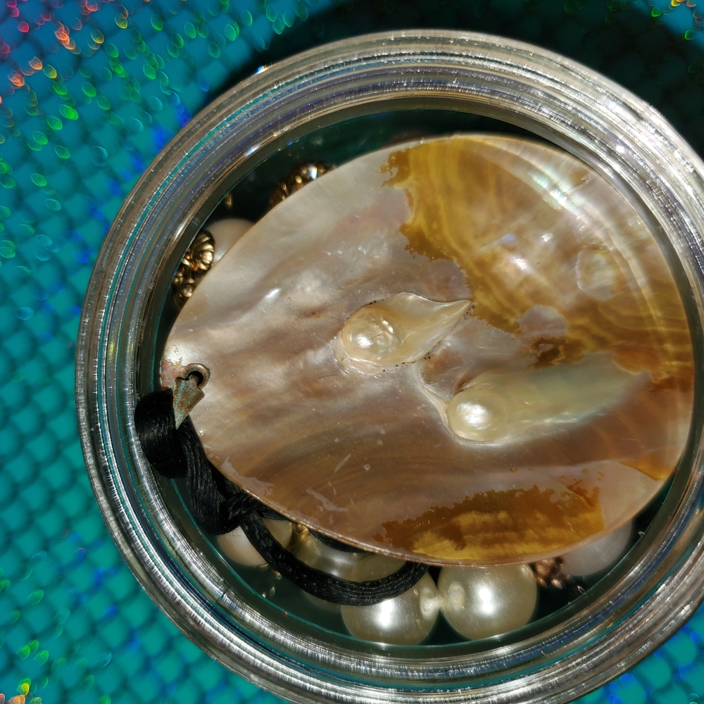 Source Unknown Pearl And Shell Bracelet - image 7